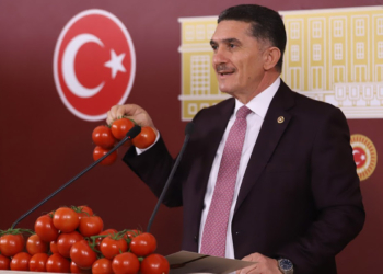 Ağrı domateste Antalya'ya rakip olacak