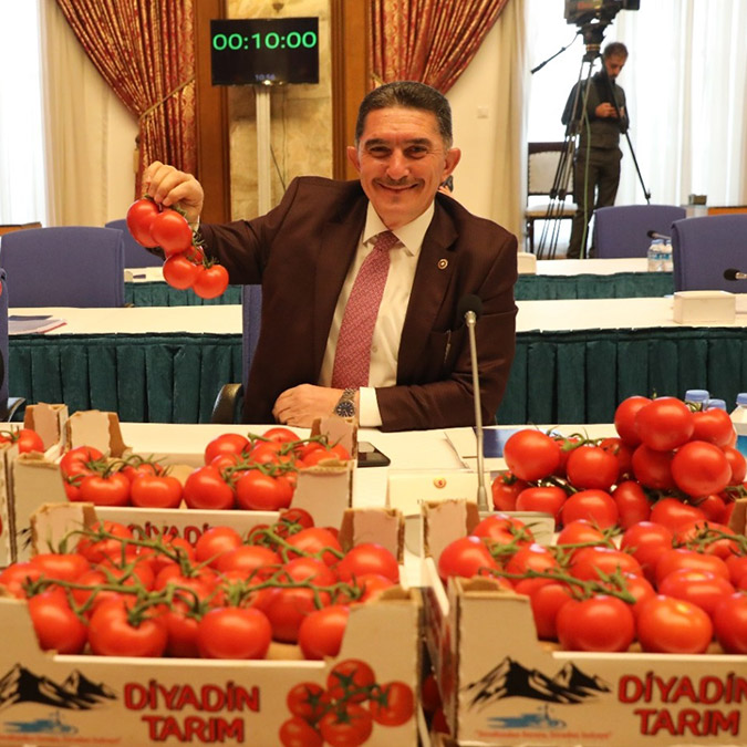 Ağrı domateste Antalya'ya rakip olacak