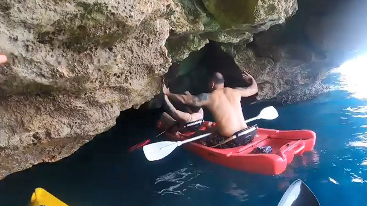 Tekne ve kano turlarına tepki