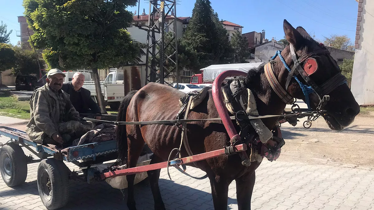 At arabacılığı gelişen teknolojiye yenik düştü