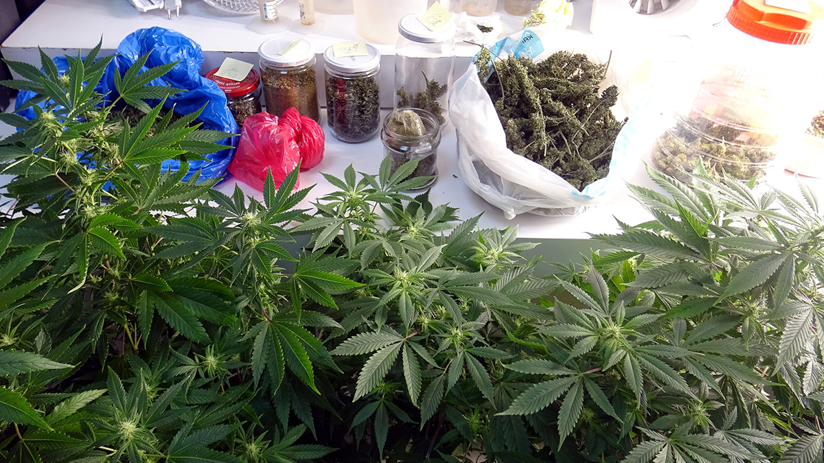 Sera haline getirilen rezidansa operasyon