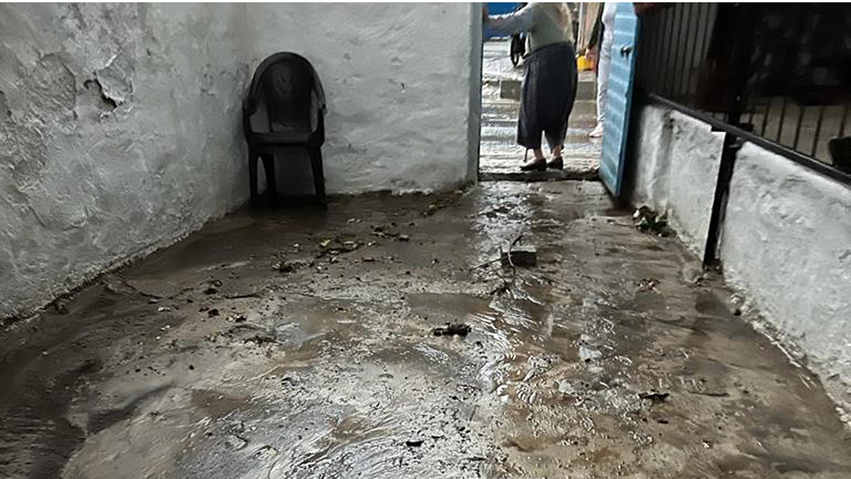 Aydın'da sağanak; yağmur suyu dereyi taşırdı