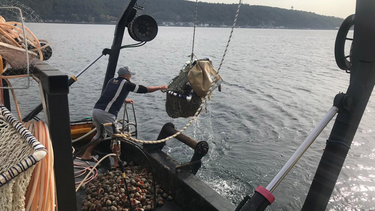 Boğaz'da balıkçı teknelerine denetim