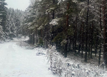 Bolu'nun yüksek kesimlerinde kar