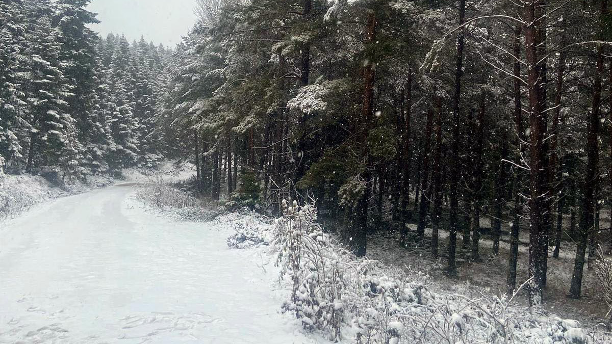 Bolu'nun yüksek kesimlerinde kar