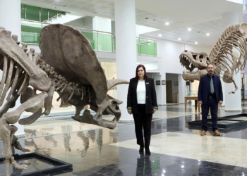 Erzurum'a 'Biyoçeşitlilik Bilim Müzesi' kuruluyor