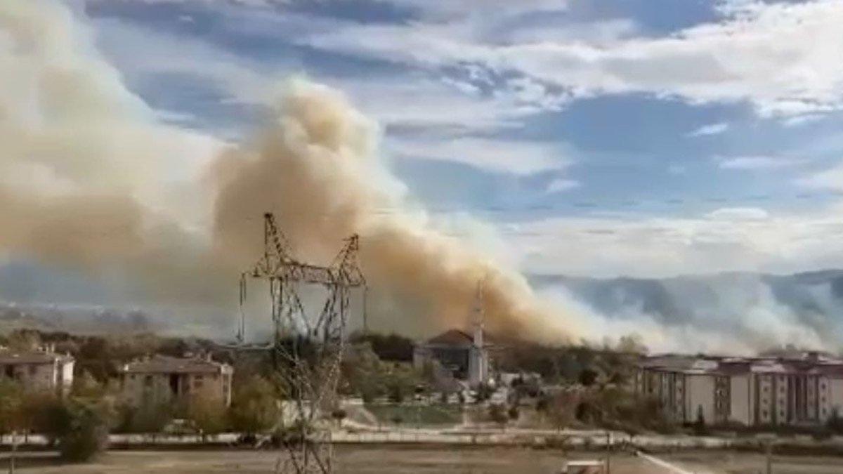 Bursa'da arazide çıkan yangın çalılıklara sıçradı