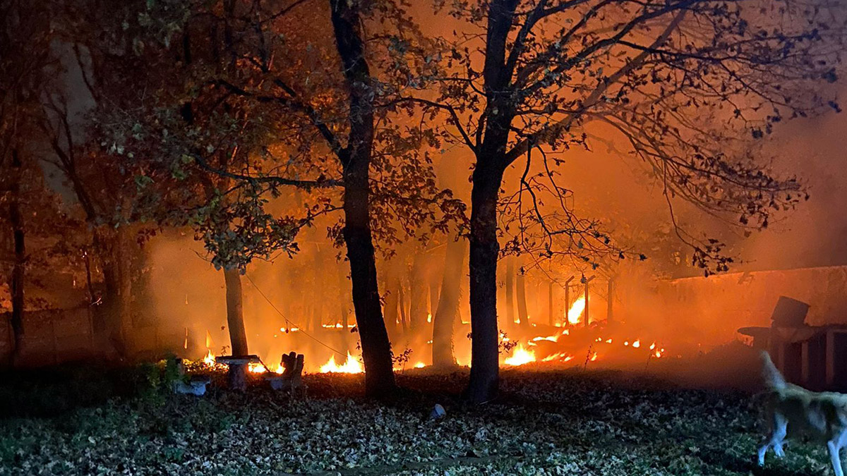Çiftlikteki anız yangını ağaçlara sıçradı