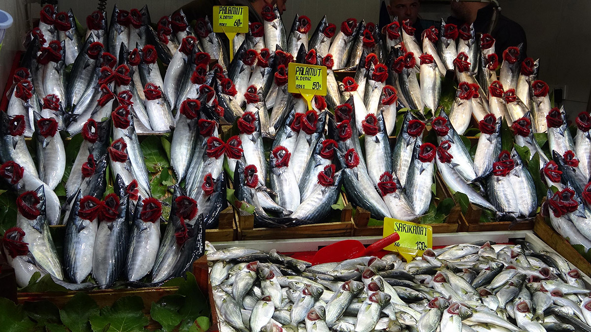 'Denizin prensi' olarak bilinen lüfer akını gecikti