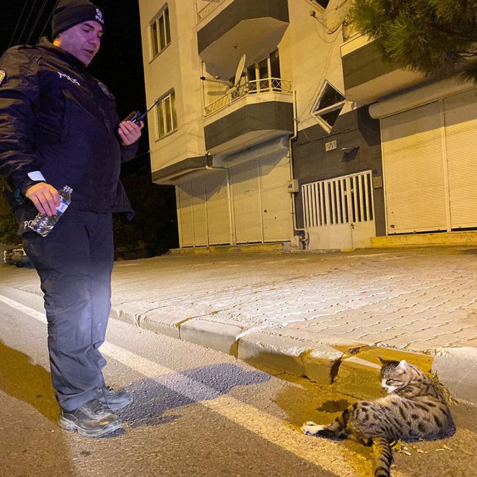 Polis ekibi, yaralı kedinin başından ayrılmadı