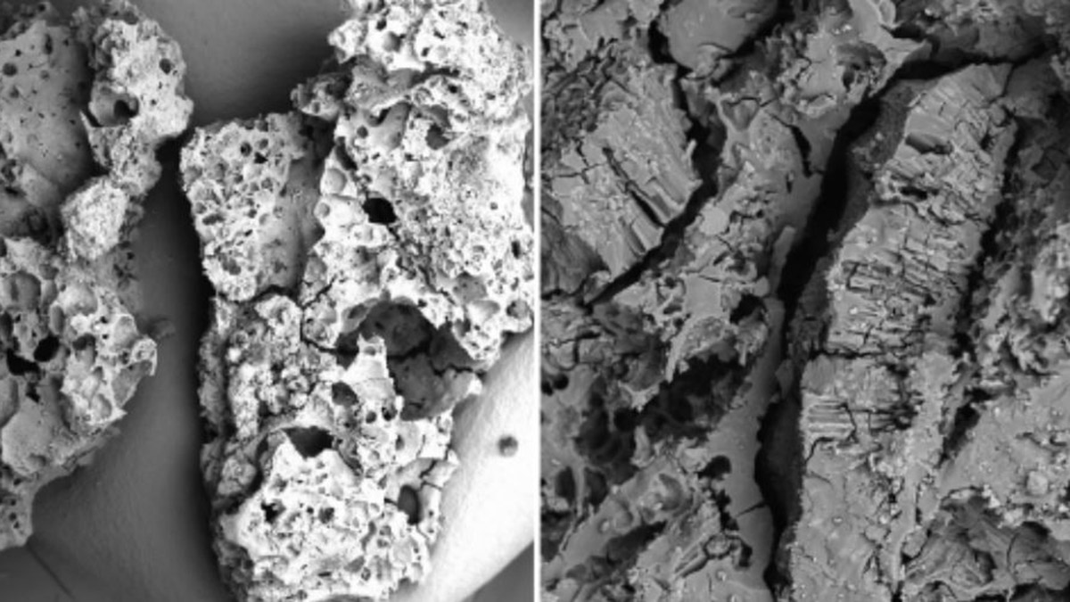 Tarihteki en eski pişirilmiş yemek kalıntıları keşfedildi