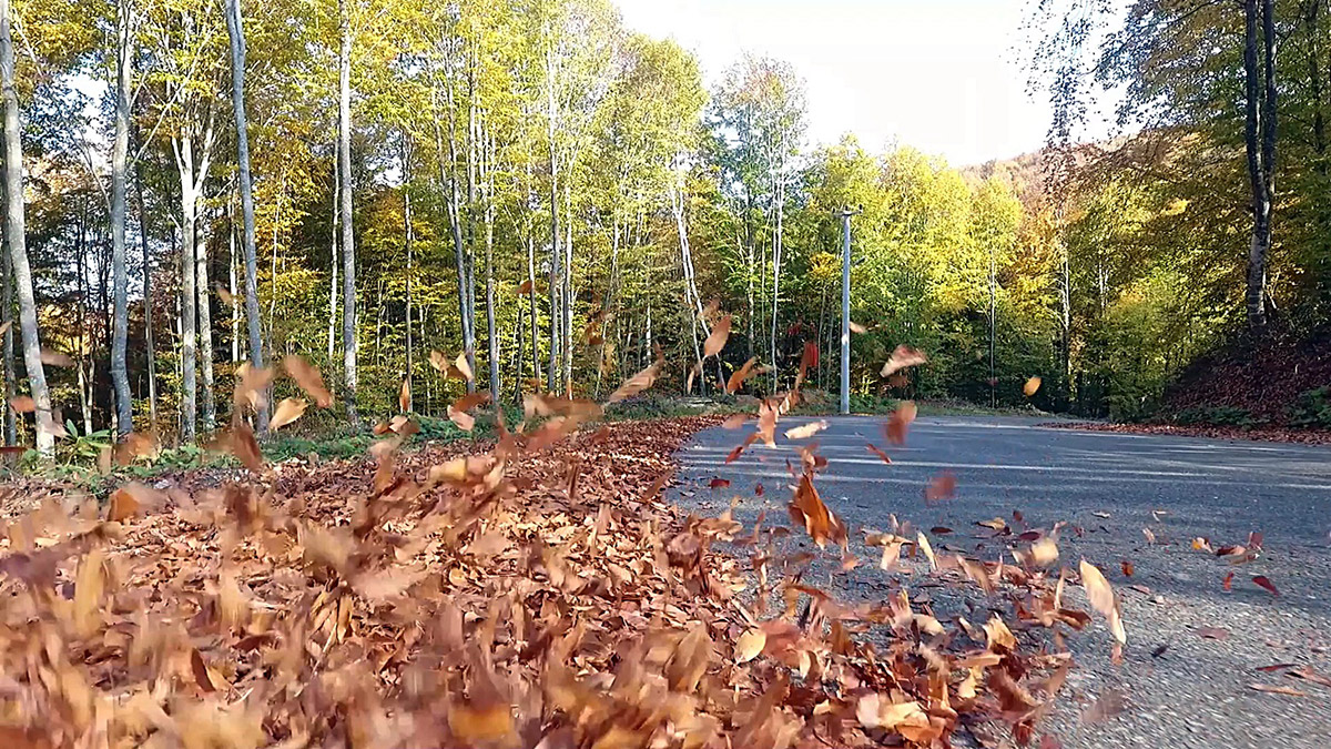 Sonbahar renkleri görüntülendi