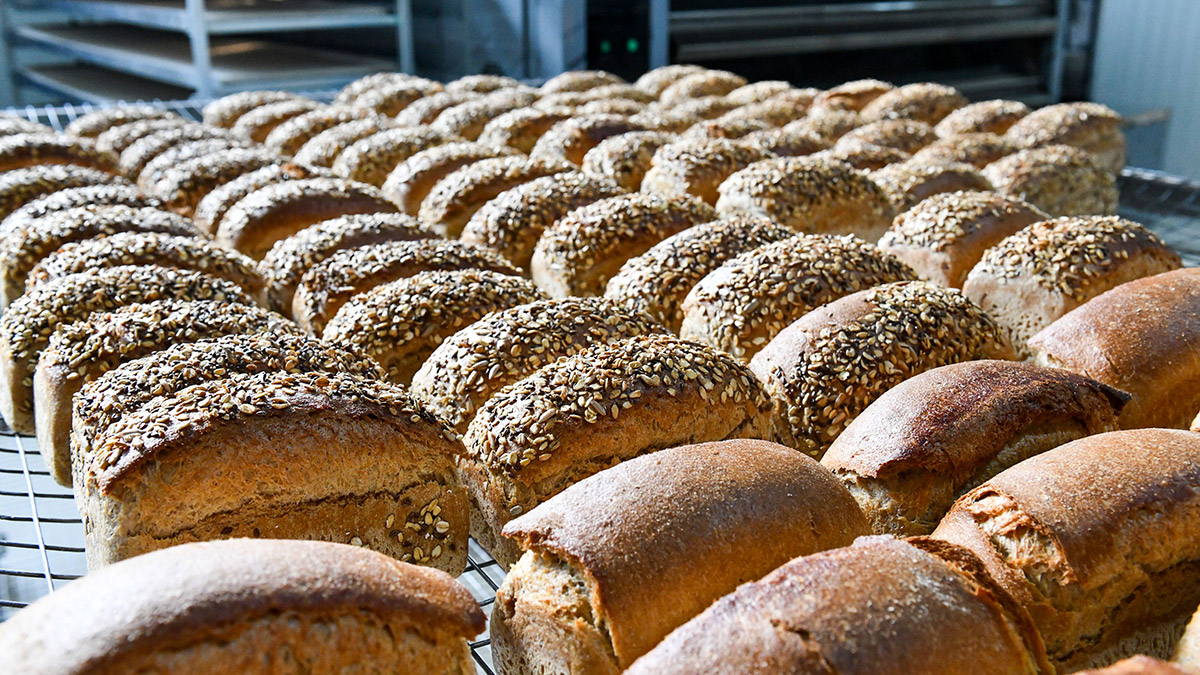 Ankara Halk Ekmek, ekşi mayadan dört farklı çeşit ekmek üretti