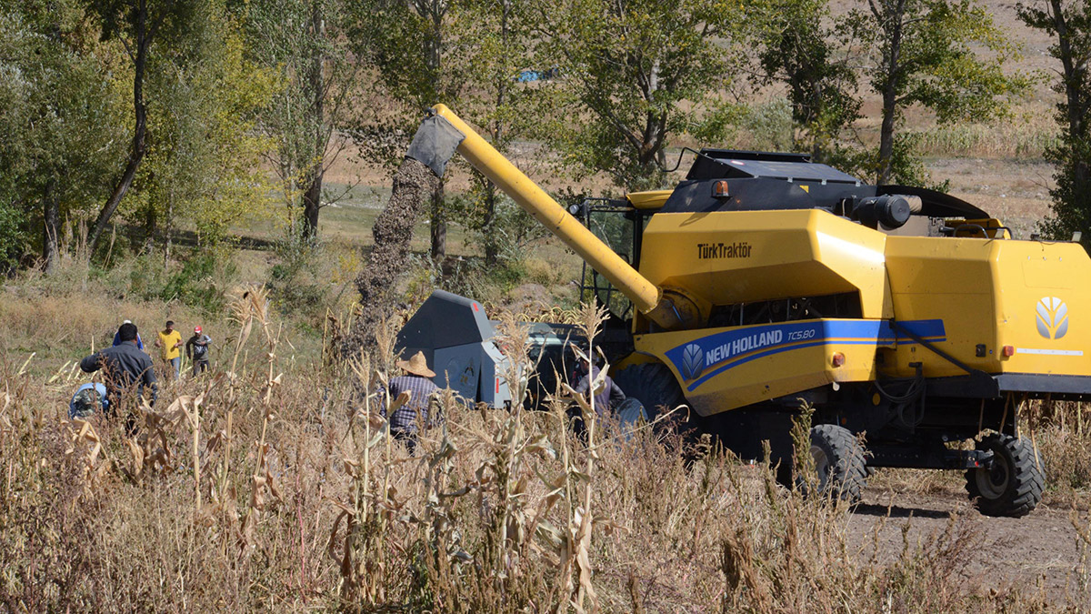 2022 bereketiyle çiftçinin yüzü güldü