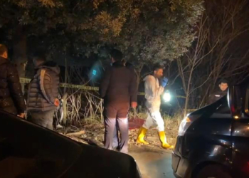 Eyüpsultan'da otomobil ağaçlık alana uçtu; 2 ölü