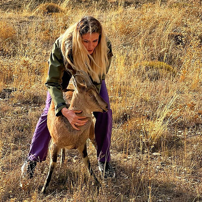 Fotoğrafçı, dağ keçisinden son anda kurtuldu