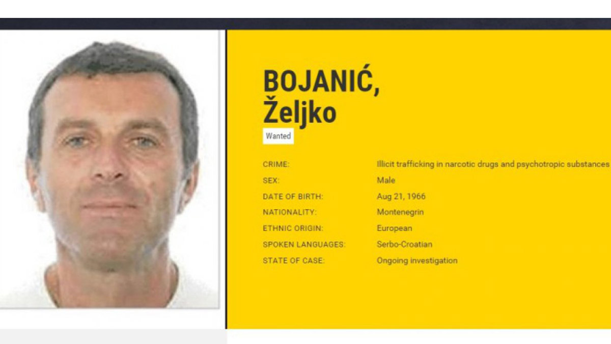 Sırp çete lideri Zeljko Bojanic yakalandı