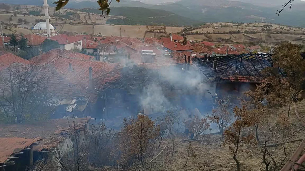 Gediz'de çıkan yangında 2 ev kullanılamaz hale geldi