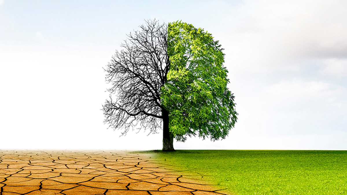 Gelişmiş ülkeler zarar fonunun kurulmasına yanaşmıyor