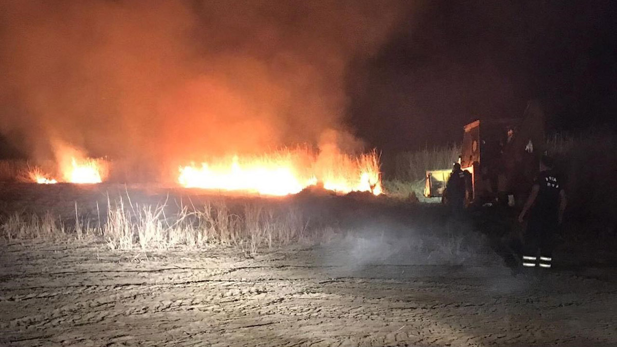 Mılleyha sulak alanındaki sazlıklarda yangın çıktı