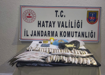 Patlayıcı kullanarak balık avlayan 3 kişiye ceza