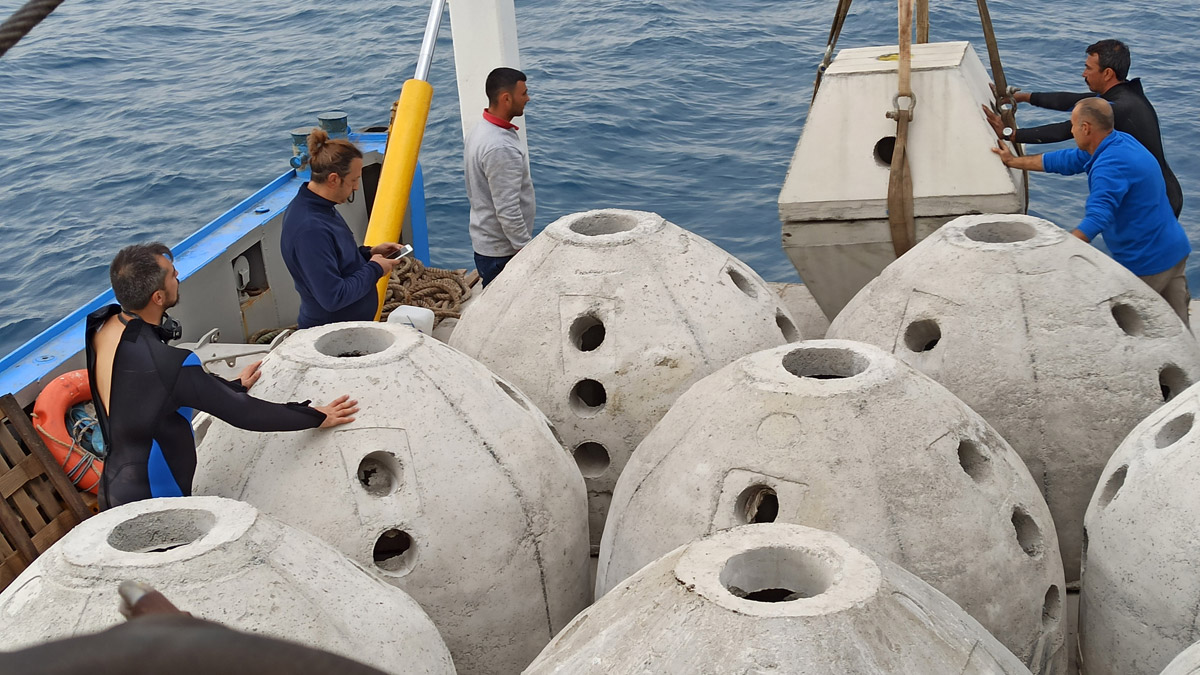 Körfezde Büyük İskender Biyoaktif Yapay Resif Projesi