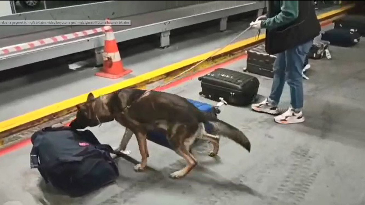 Keçeye emdirilmiş morfin ele geçirildi