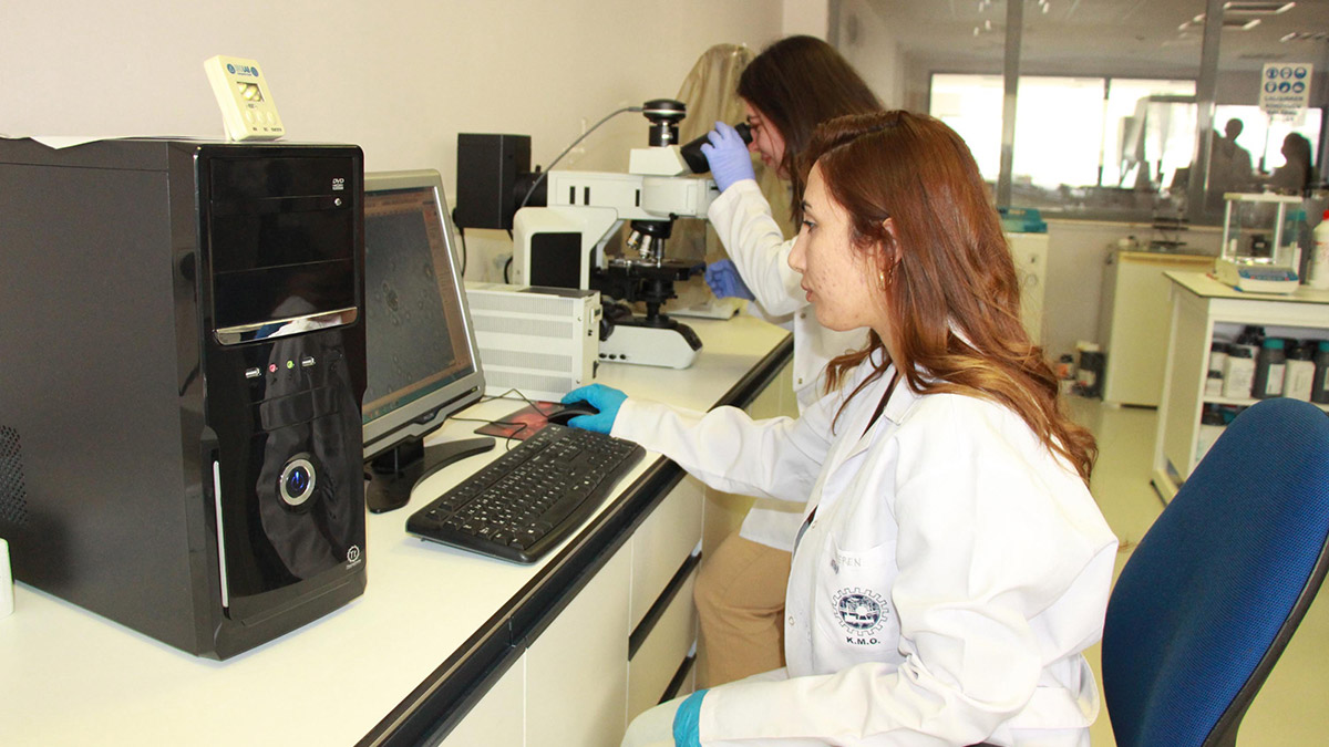 Deniz marulları ekonomiye kazandırılacak