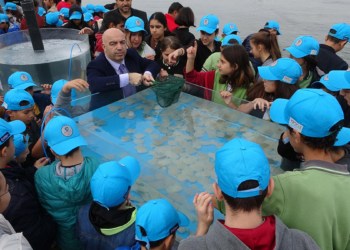 6 bin levrek İzmit Körfezi'ne bırakıldı