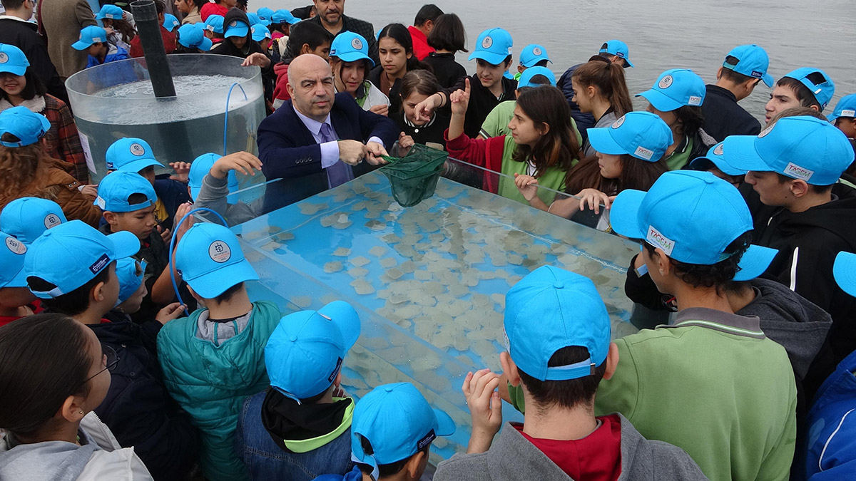 6 bin levrek İzmit Körfezi'ne bırakıldı