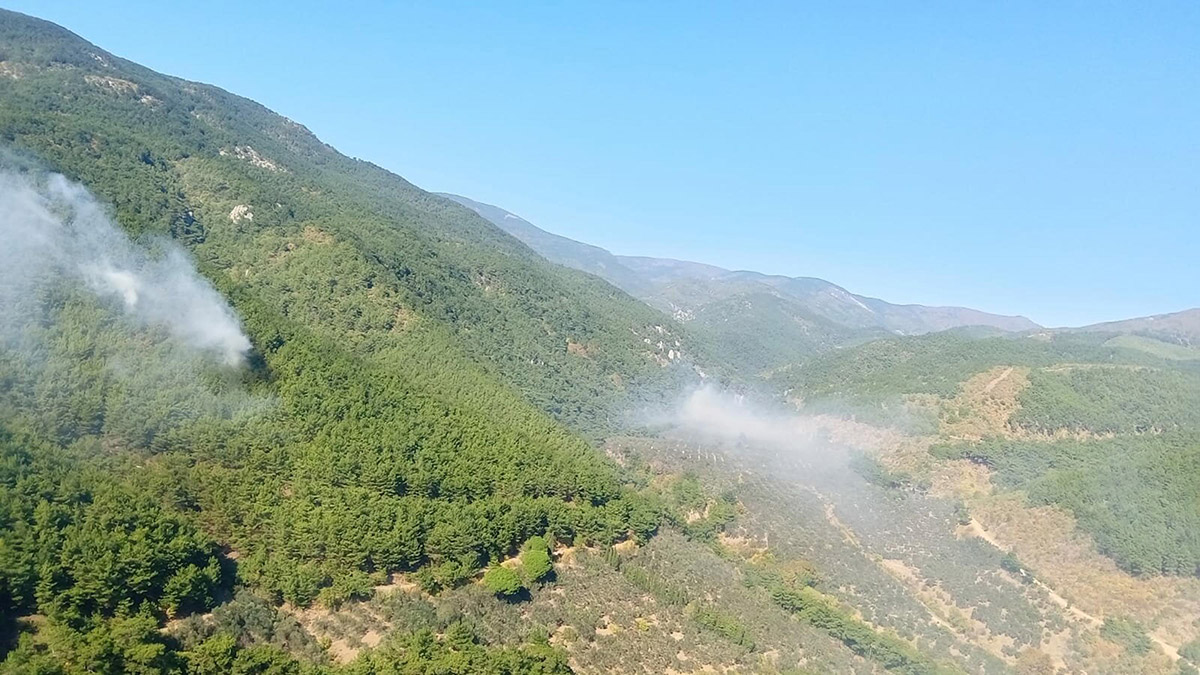 Kazdağları'nda orman yangını