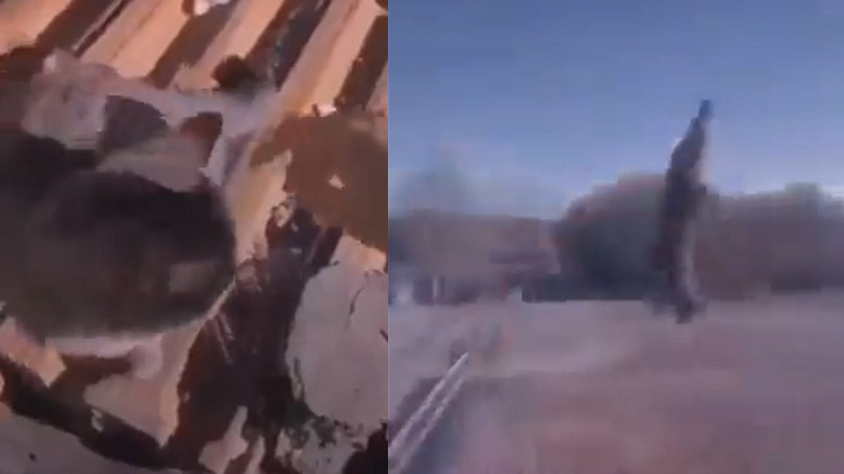 Kediyi çatıdan atanı bulana ödül