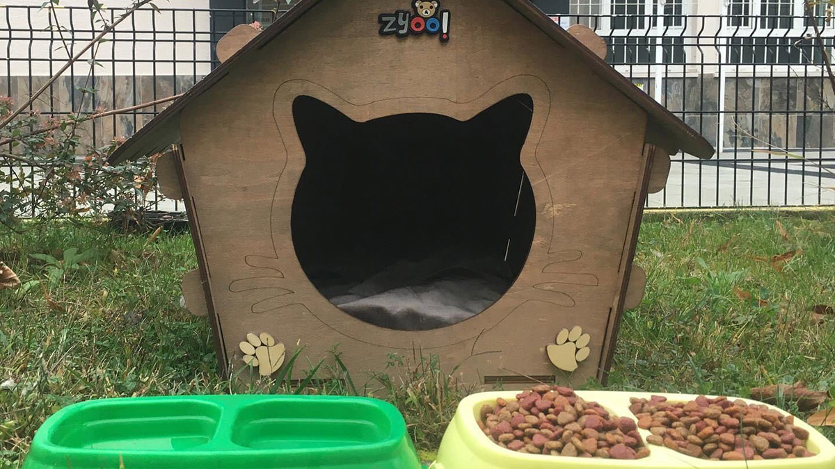 'Kedi Köyü'nde 200 kediye babalık yapıyor