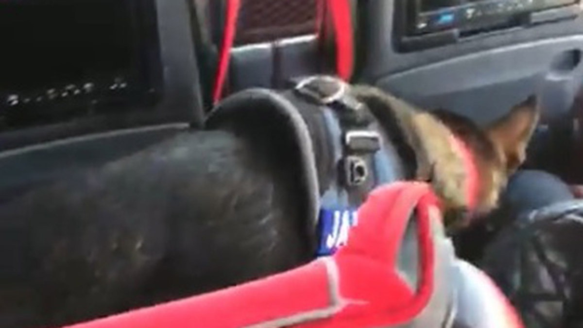 Sandviç arasına gizlenmiş uyuşturucu bulundu