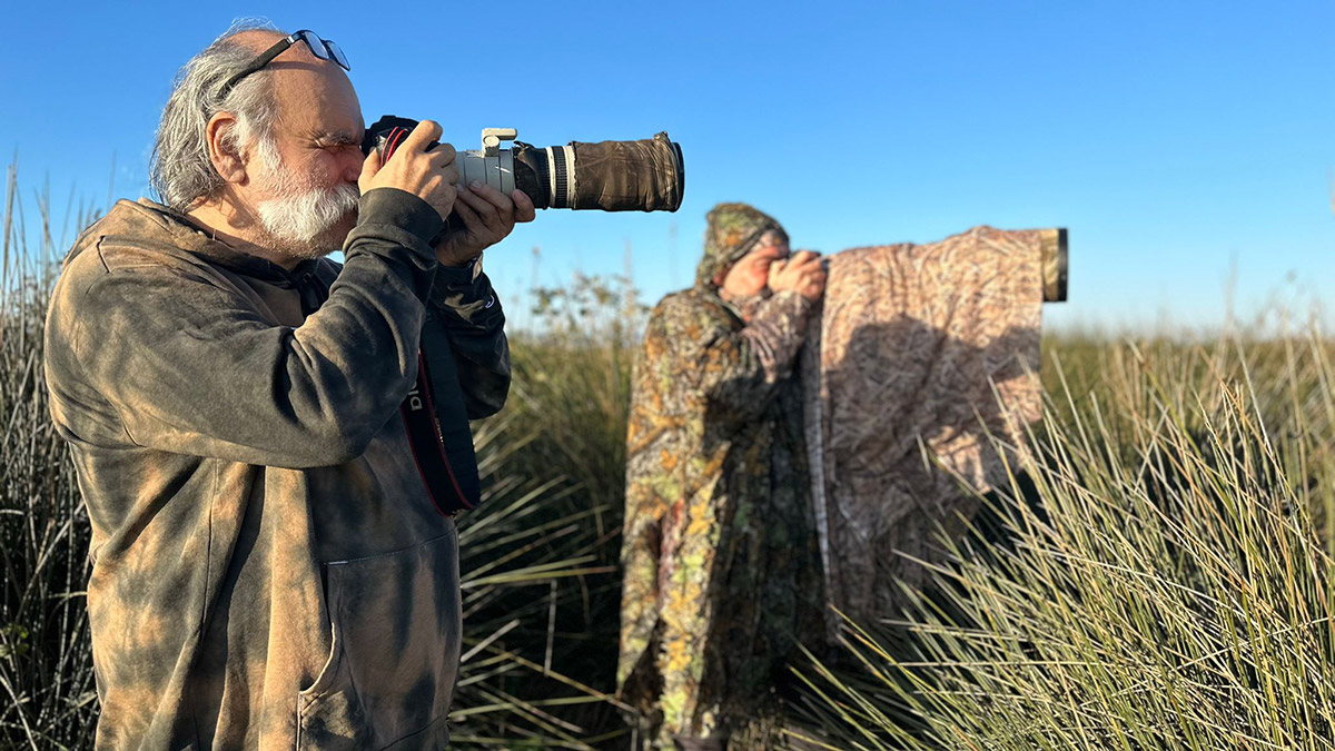 Samsun'da Kızılırmak Deltası Kuş Cenneti'nde doğa fotoğrafçıları, kuşları ürkütmeyerek en doğal hallerini fotoğraflayabilmek için kamufle olmayı tercih ediyor.