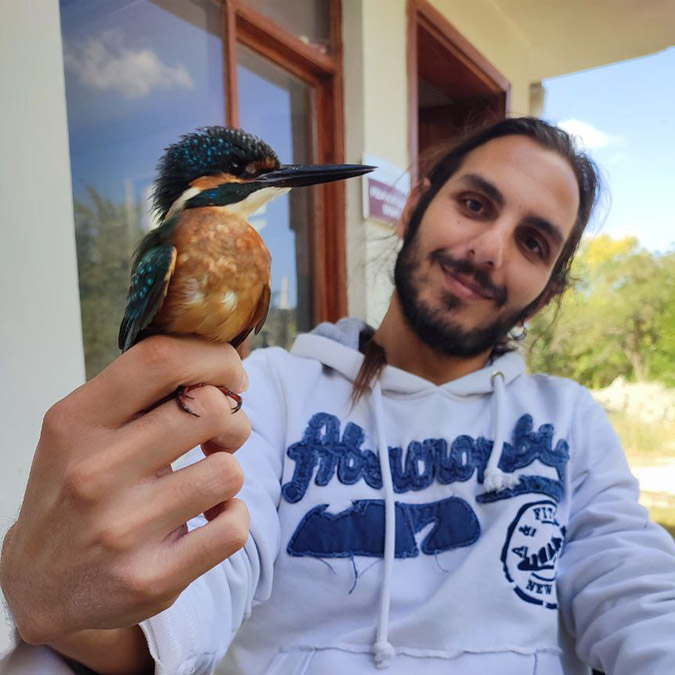 Simurg Kuş Yuvası Derneği'nin, ilkel ve ölümcül olarak nitelendirdiği havai fişek kullanımının yasaklanmasına dair başlattığı kampanyaya 50 bine yakın kişi imza vererek destek çıktı.