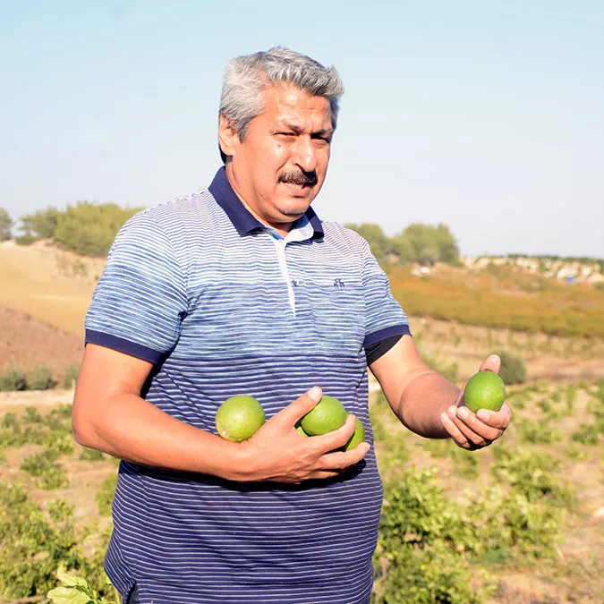 Mersin'in mezitli ilçesinde fatih yalın'a (50) ait limon bahçesindeki 600 ağaç, kimliği belirsiz kişi ya da kişilerce kökünden kesildi.