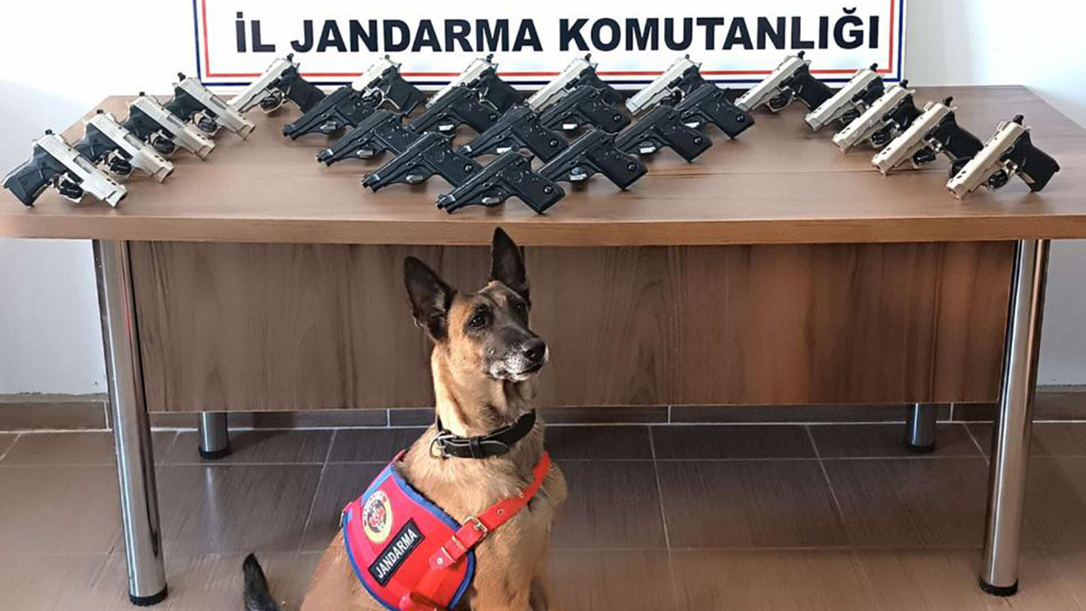 Durdurulan araçta 25 adet ruhsatsız tabanca ele geçirildi