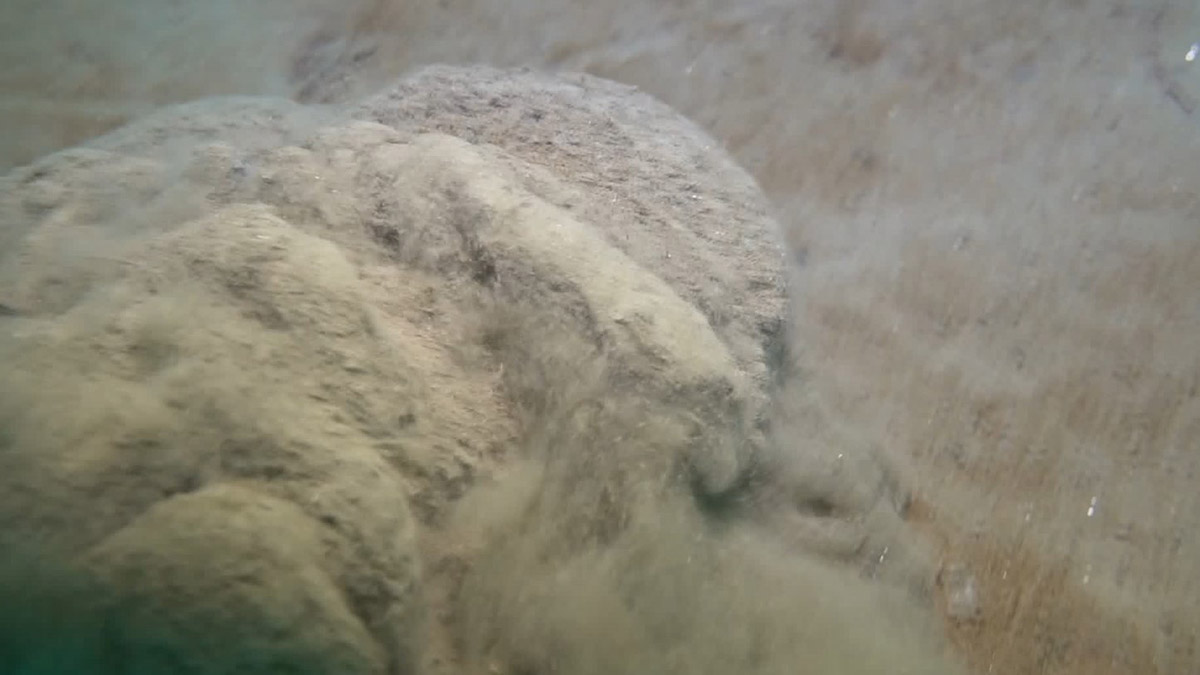 Müsilaj çamuru denizin dibini örttü