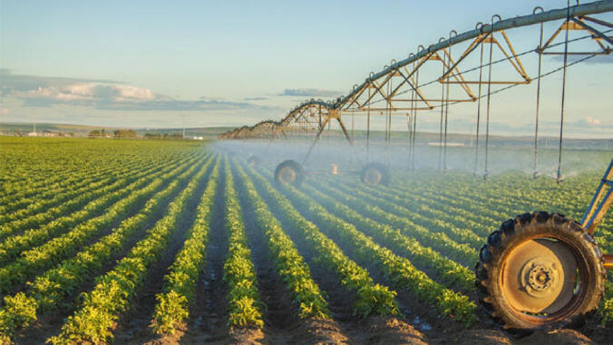 CropMap kullanıcıların hizmetine sunuldu