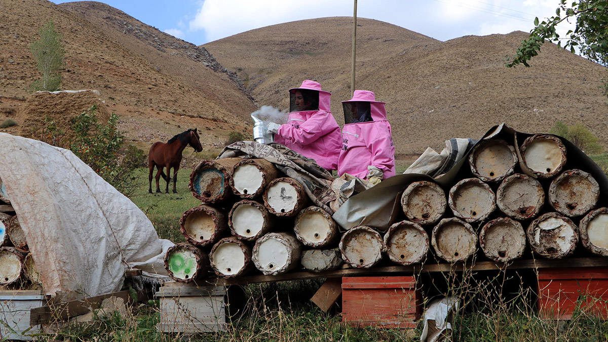 arıcılıkla 3 çocuğunu okuttu