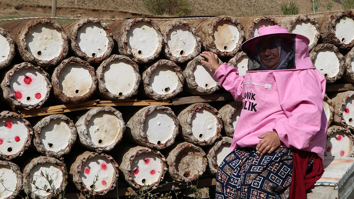 Van'ın Gevaş ilçesinde 'kız çocukları okumaz' denilerek ilkokuldan sonra okutulmayan Süreyya Sümer (53), öğretmenlik hayalini gerçekleştiremese de 25 yıldır yaptığı arıcılıkla 3 çocuğunu okuttu.