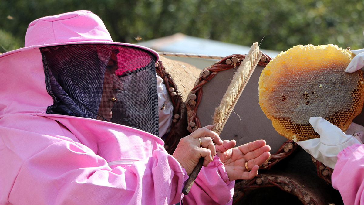 Arıcılıkla 3 çocuğunu okuttu