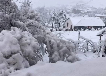 Ordu ve Bayburt kar yağışıyla beyaza büründü