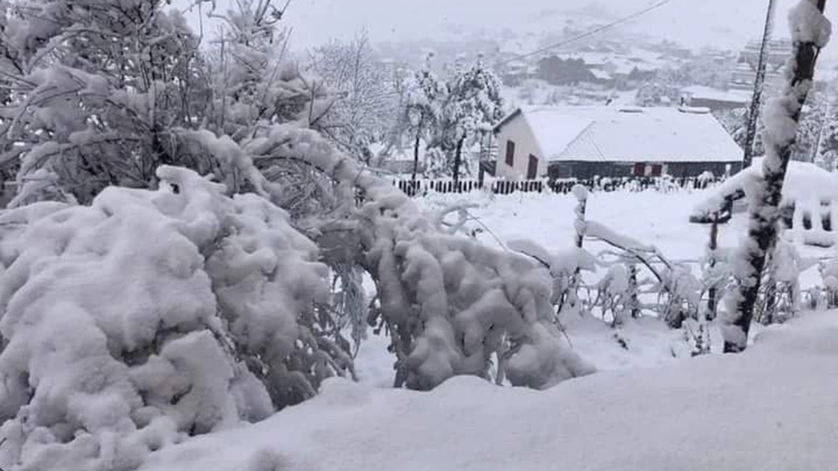 Ordu ve Bayburt kar yağışıyla beyaza büründü