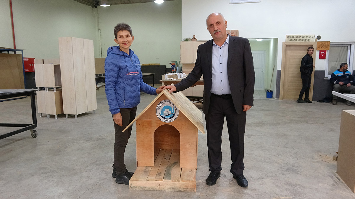 Ahşap kasalar hayvanlara yuva oluyor