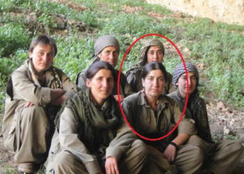 PKK'nın sözde kadın yapılanması sorumlusu ile 4 koruması etkisiz hale getirildi
