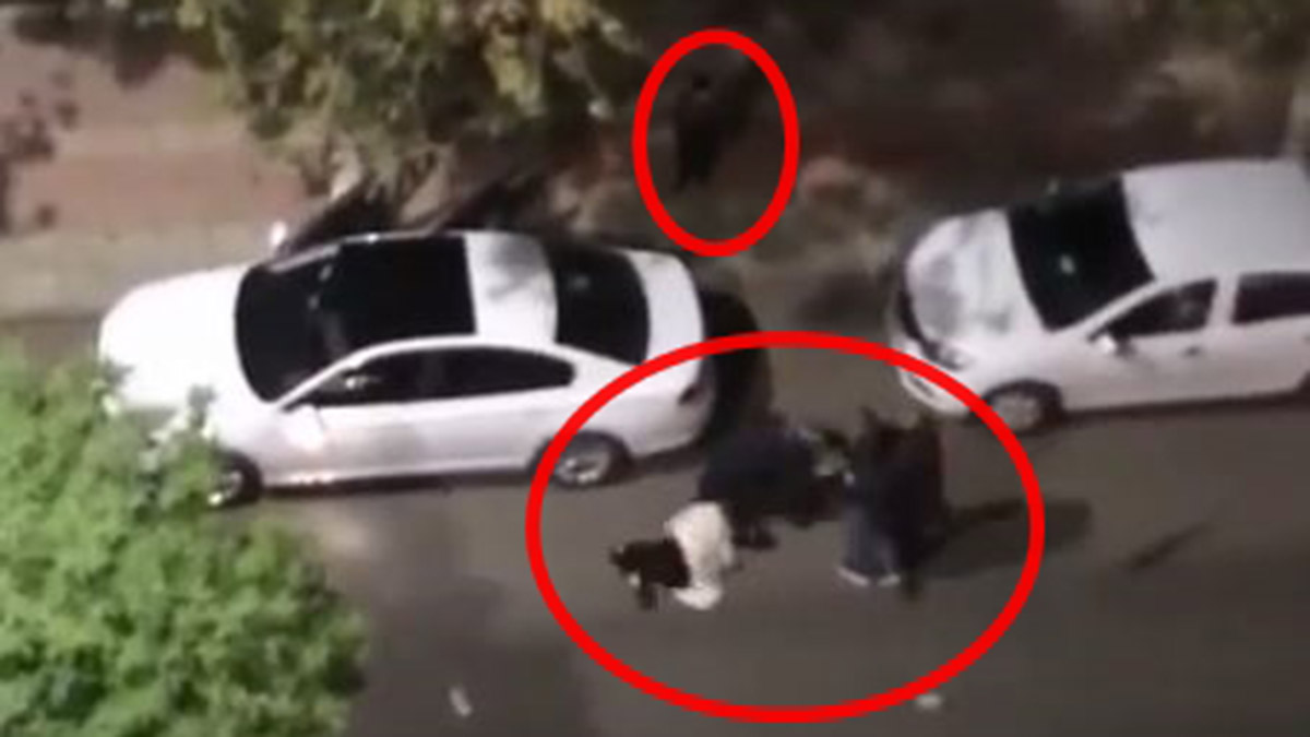 Siirt'te yol ortasında kadına şiddet