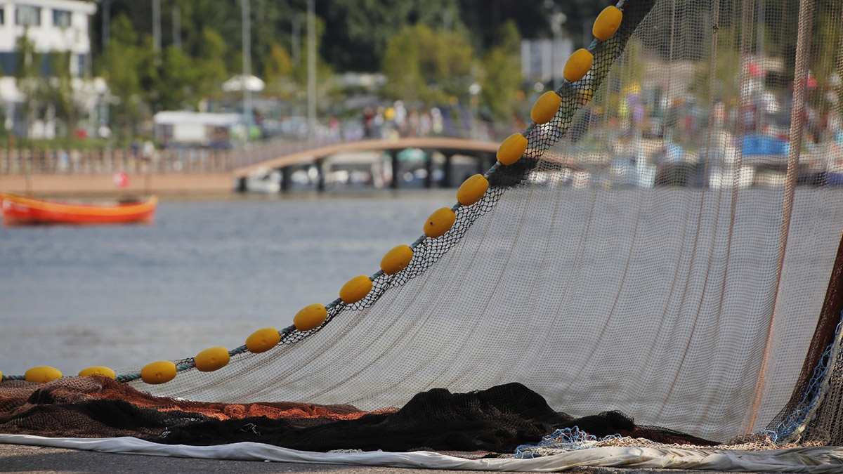 Şile Palamut Festivali'ne geri sayım başladı