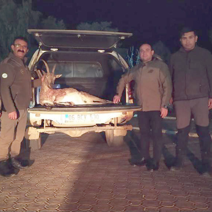 Yaban keçisi avına 256 bin TL ceza